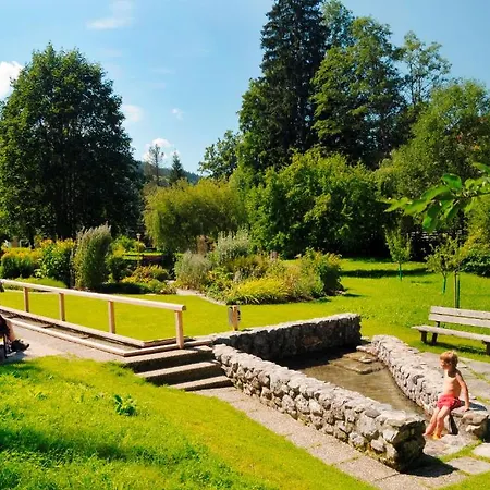 Lejlighed Schlosserhaus Wagrain